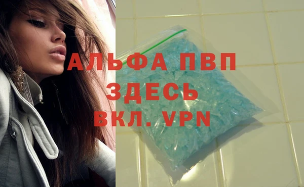 PSILOCYBIN Россошь