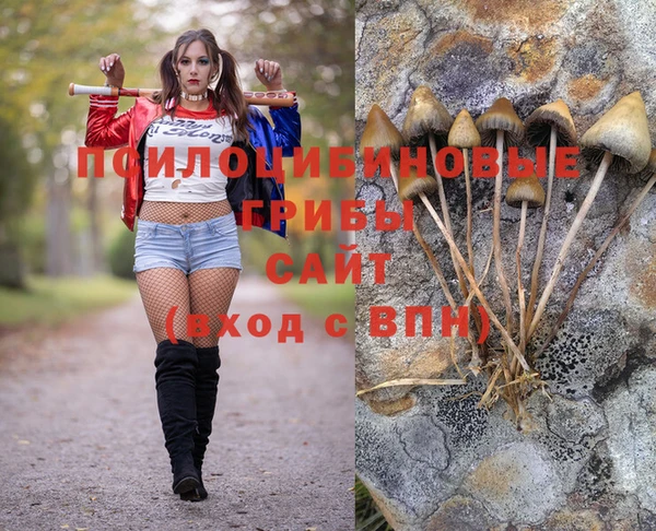 ECSTASY Рославль
