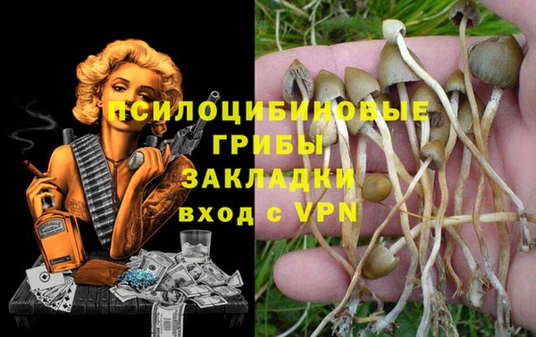 ГАЛЛЮЦИНОГЕННЫЕ ГРИБЫ Горнозаводск
