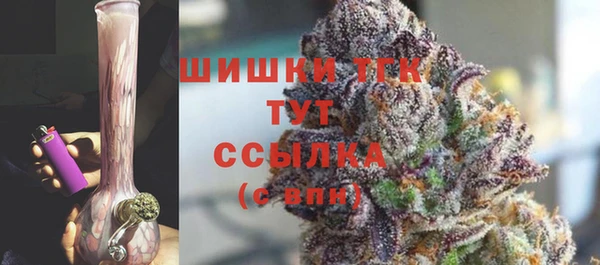 ECSTASY Рославль
