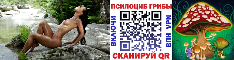 Галлюциногенные грибы GOLDEN TEACHER  Купить где  Мичуринск 